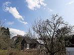 Olešná