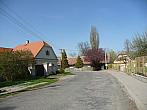 Třibřichy