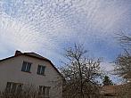 Olešná