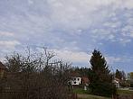 Olešná