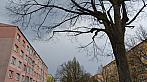 Ostrov