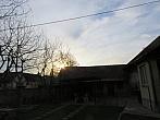 Třibřichy
