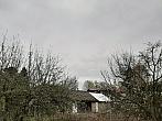 Olešná