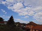 Olešná