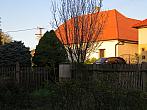 Třibřichy
