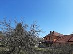 Olešná