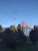 Skalité