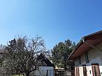 Olešná