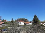 Olešná