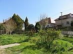 Třibřichy