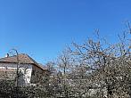 Olešná