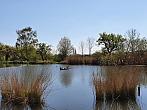 Chomutov