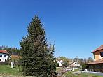 Olešná