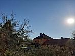 Olešná
