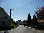 Třibřichy