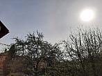 Olešná