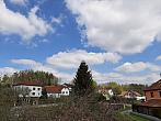 Olešná