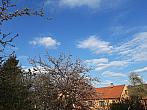 Olešná