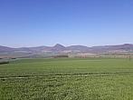 Podsedice