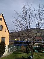 Skalité