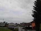 Olešná