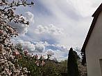 Olešná