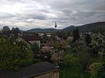 Varnsdorf