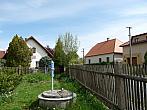 Třibřichy