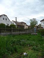 Třibřichy