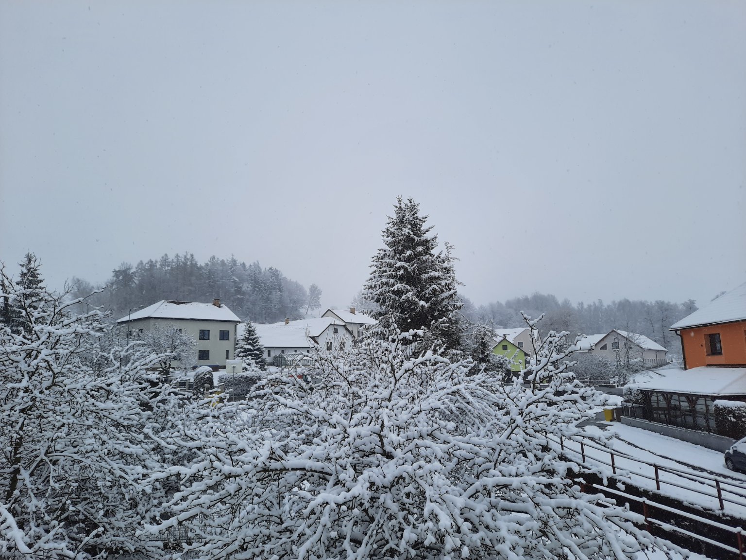 Olešná