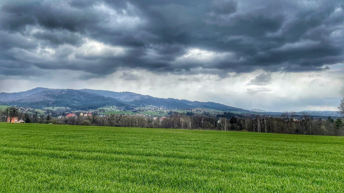 Bocanovice