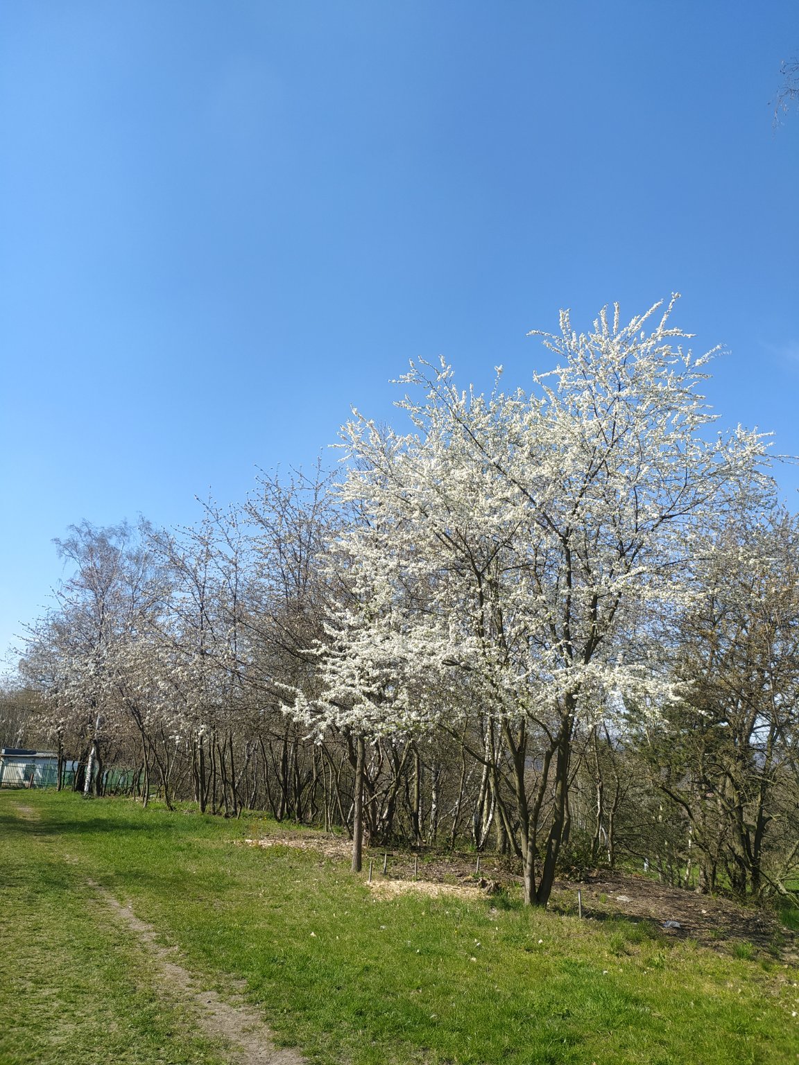 Chomutov