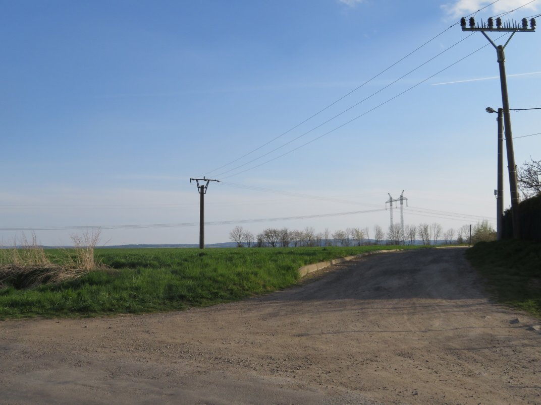 Třibřichy