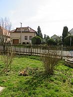 Třibřichy