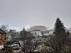 Olešná