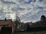 Olešná