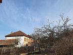 Olešná