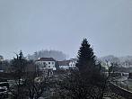 Olešná