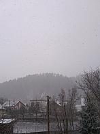 Hvozdnica