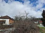 Olešná