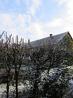 Třibřichy