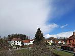Olešná