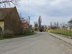 Třibřichy
