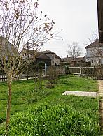 Třibřichy