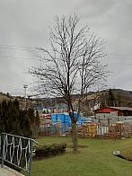 Skalité