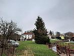 Olešná