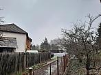 Olešná