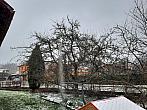 Olešná