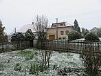 Třibřichy
