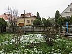Třibřichy
